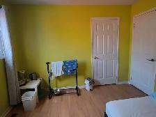 upstairs room (clean/bright) Dundas/Winston Churchill July 1st - Photo 7