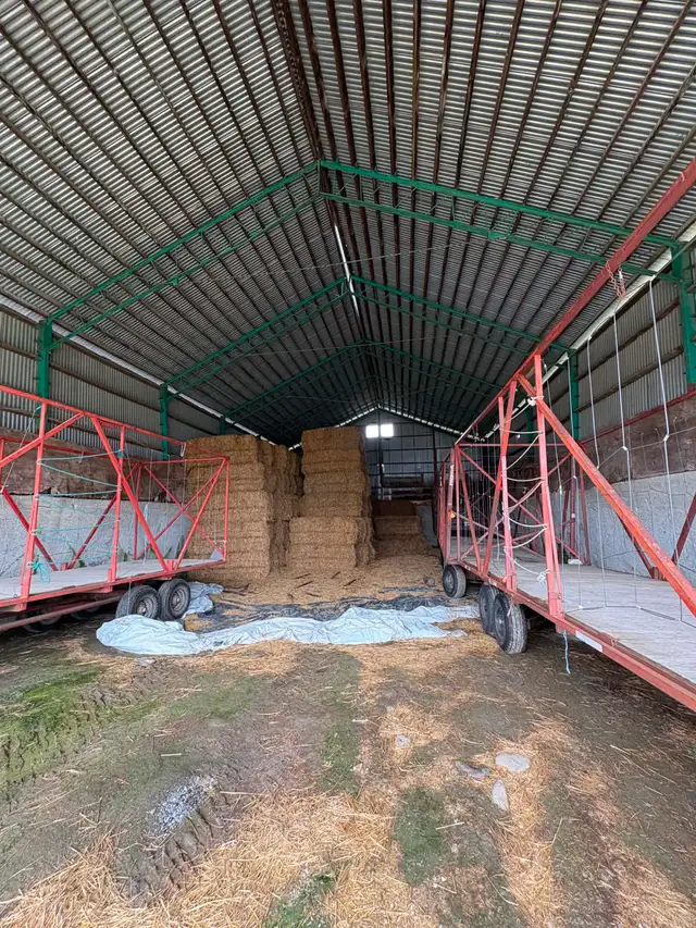 hangar agricole - Photo 3
