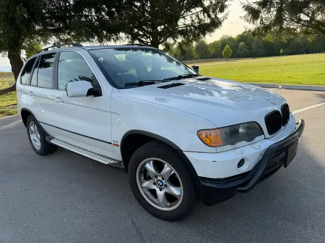 BMW X5 GREAT SHAPE! - Photo 10