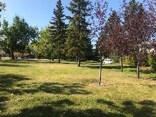 Awesome 3 BR main level, 1.5 baths, Marlborough, very quiet - Photo 6
