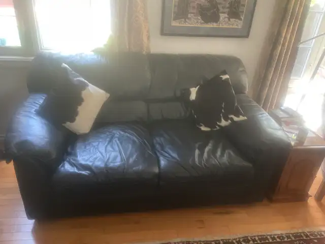 Leather sofa  and  love seat