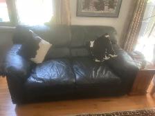 Leather sofa  and  love seat
