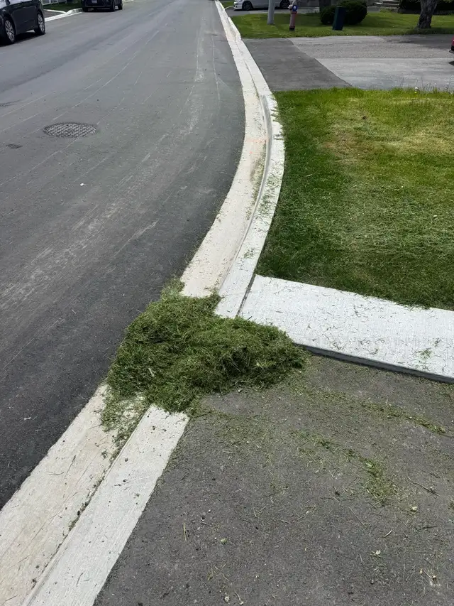 grass cutting - Photo 3