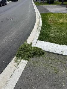 grass cutting - Photo 3
