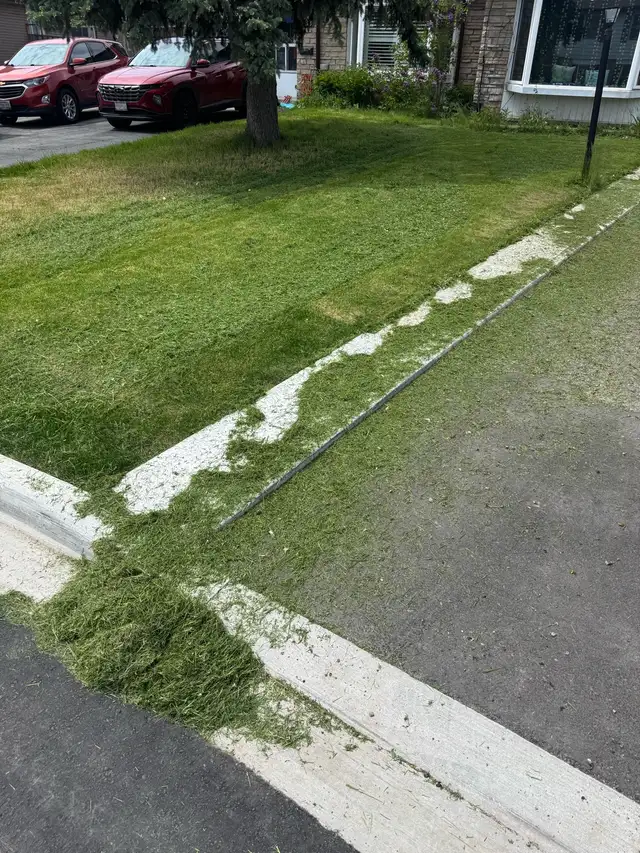 grass cutting - Photo 4