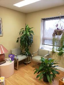 Offices, small to medium, reasonable, Mt.Pleasant and Eglinton - Photo 4