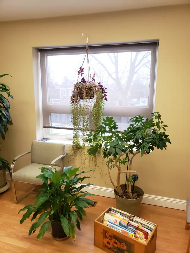 Offices, small to medium, reasonable, Mt.Pleasant and Eglinton - Photo 5