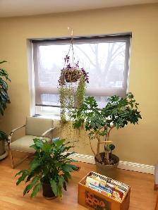 Offices, small to medium, reasonable, Mt.Pleasant and Eglinton - Photo 5