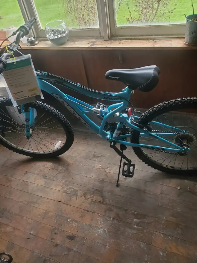 Mountain bike