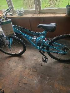 Mountain bike