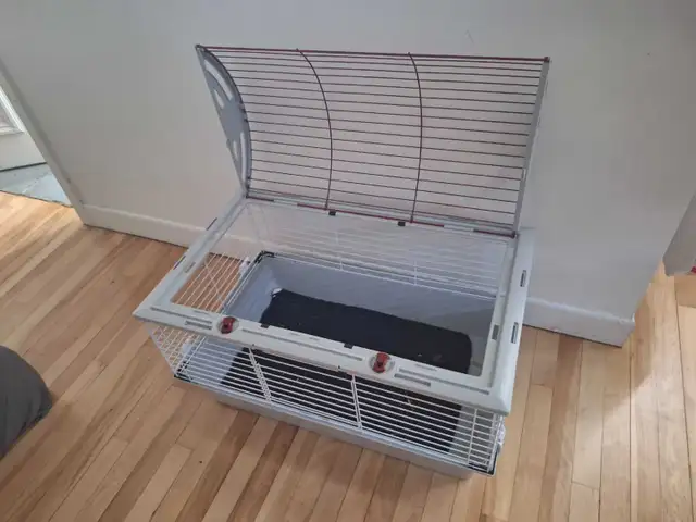 Cage à cochon d'Inde