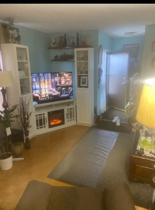 Roommate wanted