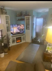 Roommate wanted