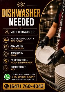 male dishwasher
