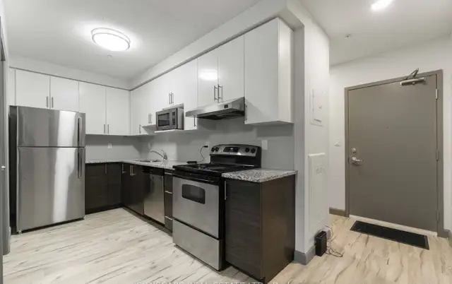 One Big Room in a Two Large Bedroom Condo in Long Term Rentals - Photo 5