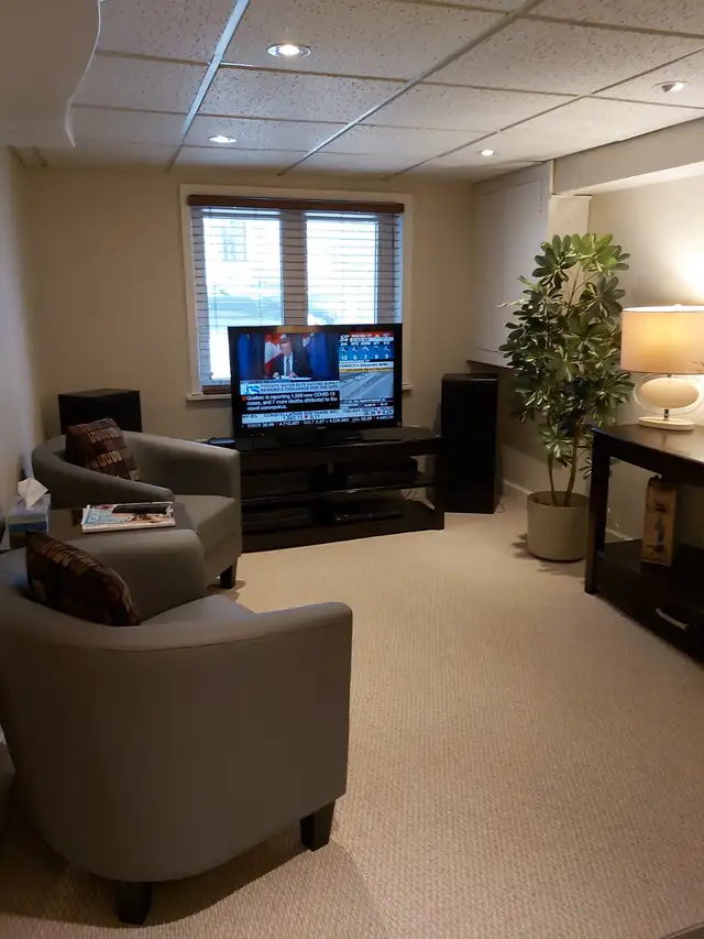 LUXURY FULLY FURNISHED 1 BEDROOM APARTMENT IN CENTRAL TORONTO