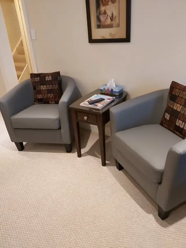 LUXURY FULLY FURNISHED 1 BEDROOM APARTMENT IN CENTRAL TORONTO - Photo 2