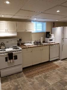 LUXURY FULLY FURNISHED 1 BEDROOM APARTMENT IN CENTRAL TORONTO - Photo 4