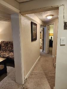 LUXURY FULLY FURNISHED 1 BEDROOM APARTMENT IN CENTRAL TORONTO - Photo 7