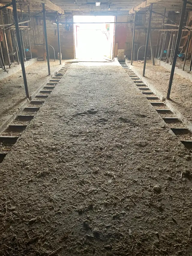 Barn for lease. - Photo 4