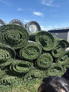 Heavy Duty Commercial Turf
