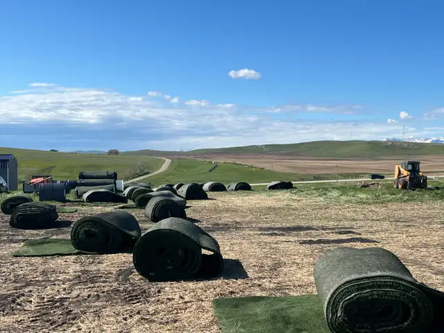 Heavy Duty Commercial Turf - Photo 3