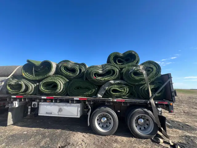 Heavy Duty Commercial Turf - Photo 5