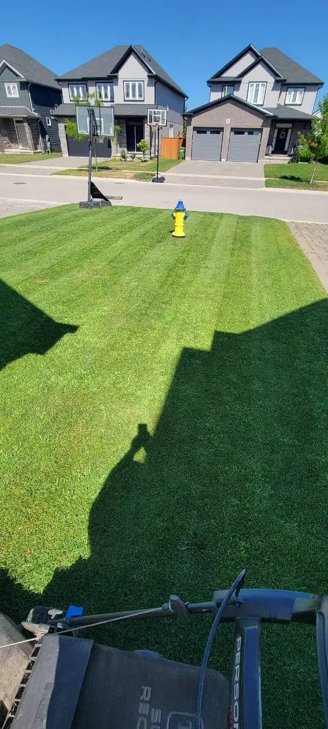 Lawn Cutting – St. Thomas - Photo 2