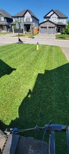 Lawn Cutting – St. Thomas - Photo 2
