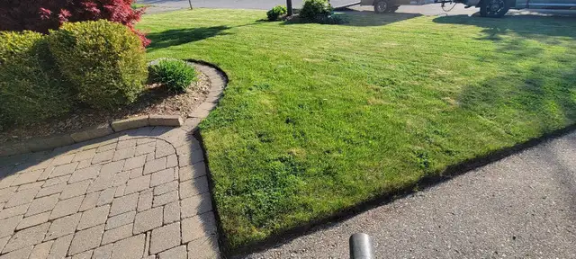 Lawn Cutting – St. Thomas - Photo 3