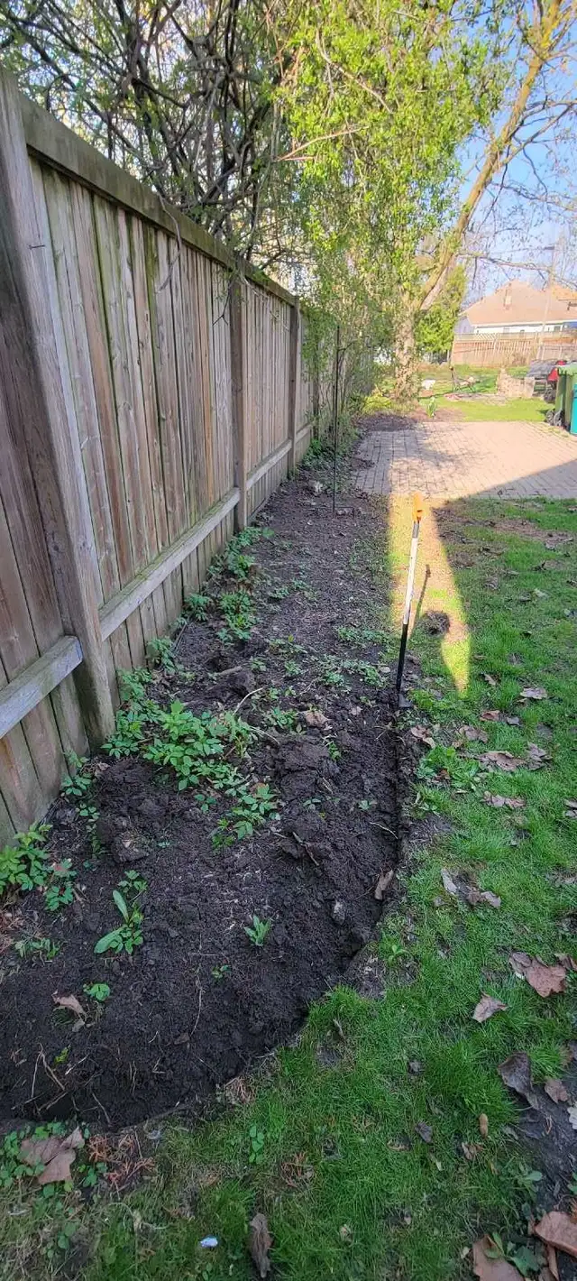 Lawn Cutting – St. Thomas - Photo 7