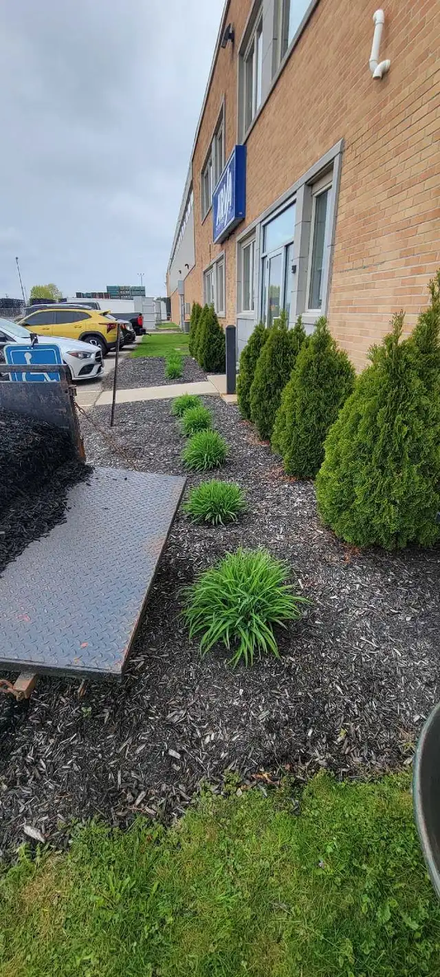 Lawn Cutting – St. Thomas - Photo 9