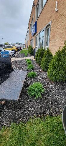 Lawn Cutting – St. Thomas - Photo 9