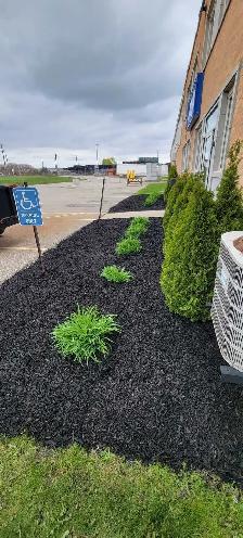 Lawn Cutting – St. Thomas - Photo 10