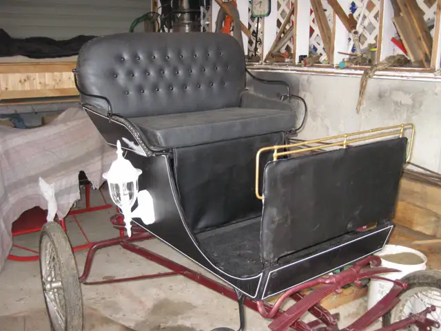 Useable Light Weight Doctor's Speed Buggy - Photo 2