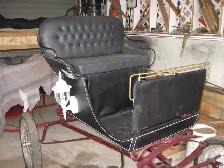 Useable Light Weight Doctor's Speed Buggy - Photo 2
