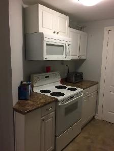 Furnished Basement Available on June 1st. - Photo 4