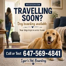 Travelling Soon? Dog Boarding in Mississauga