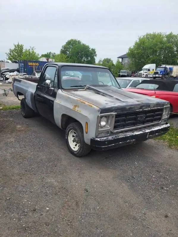 Chevrolet C10 1979 - Photo 2
