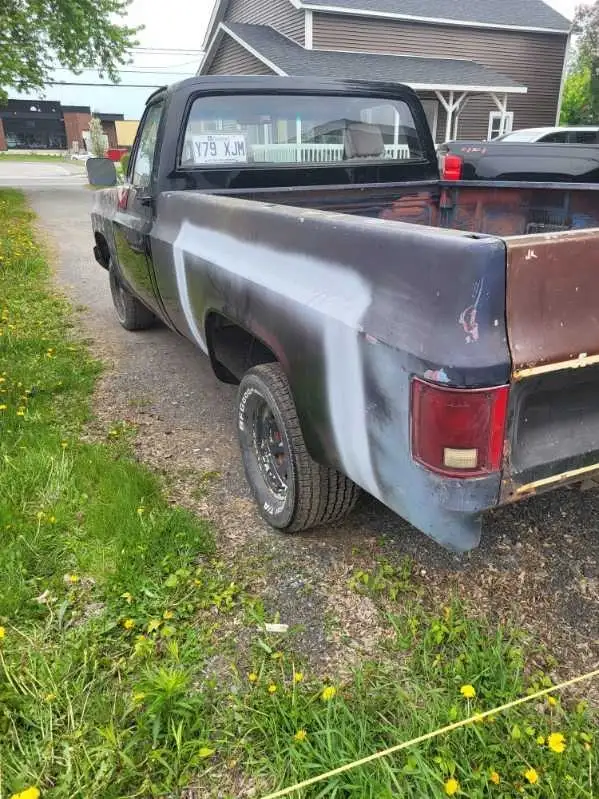 Chevrolet C10 1979 - Photo 4