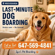 Last-Minute Dog Boarding in Mississauga