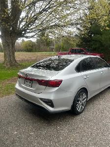 Full Safetied 2019 Kia Forte - Photo 2