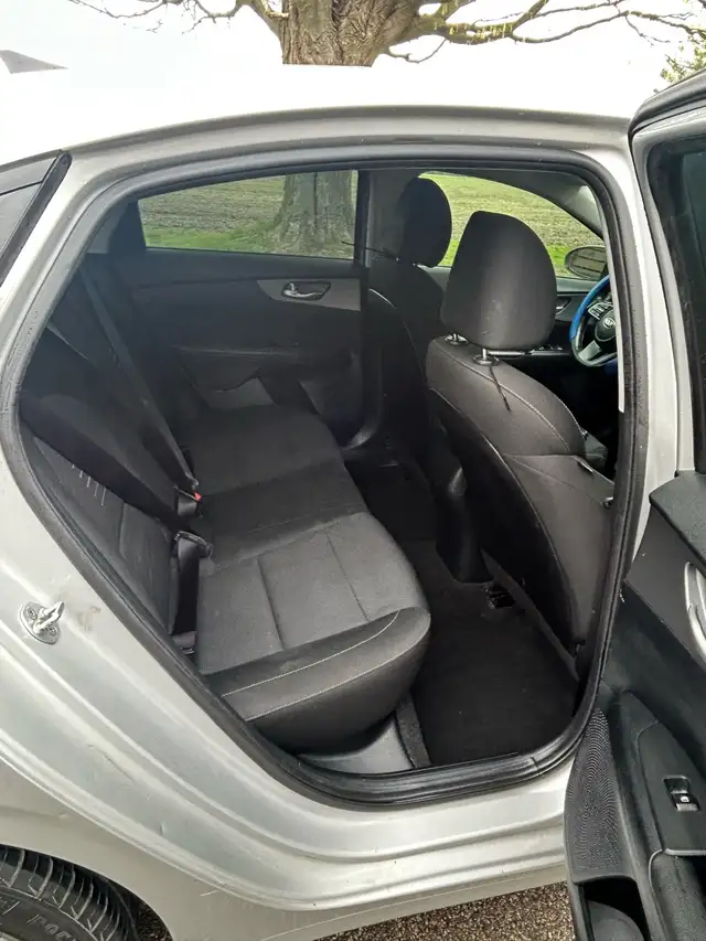 Full Safetied 2019 Kia Forte - Photo 5