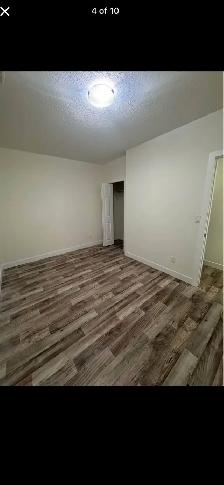2 Room basement suite -$1000 - Photo 4