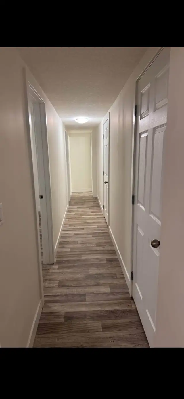 2 Room basement suite -$1000 - Photo 7