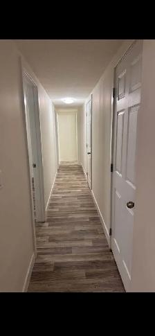2 Room basement suite -$1000 - Photo 7
