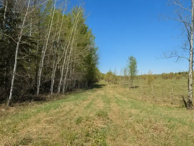 SW1-68-23-W4 Rural Athabasca County, Alberta - Photo 3