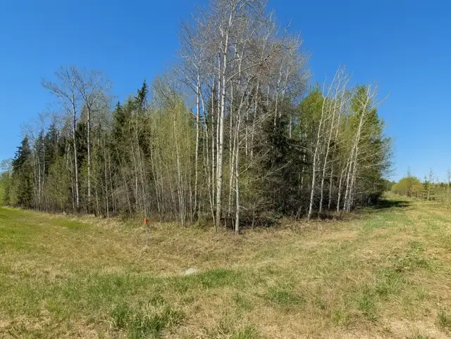 SW1-68-23-W4 Rural Athabasca County, Alberta - Photo 4