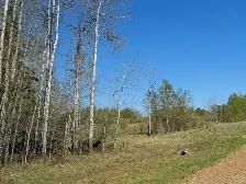SW1-68-23-W4 Rural Athabasca County, Alberta - Photo 5