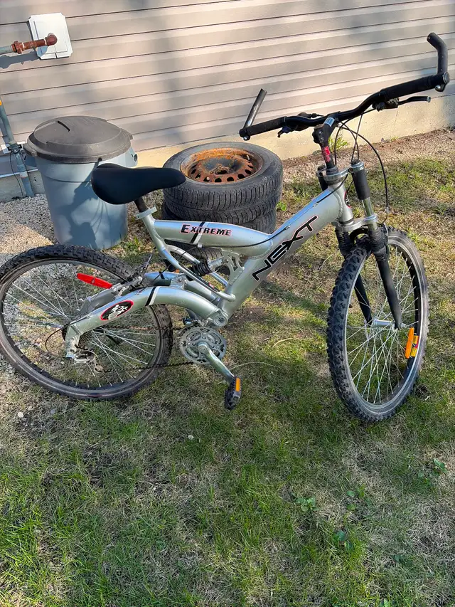 Next Adult Mountain Bike